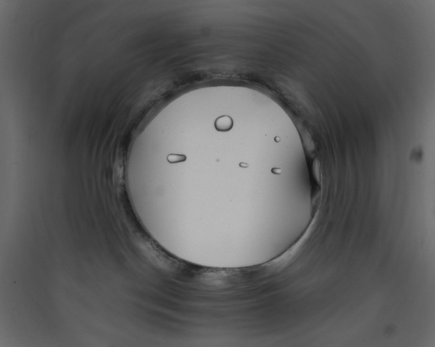 X0000089460190200707131956