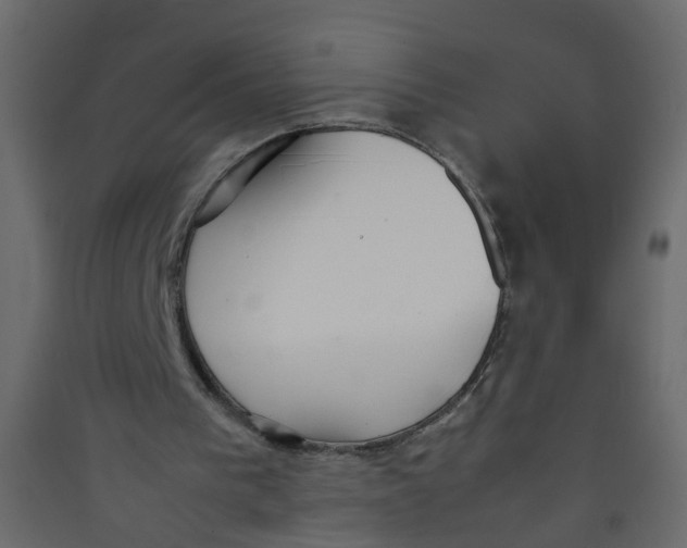 X0000089460193200707131956