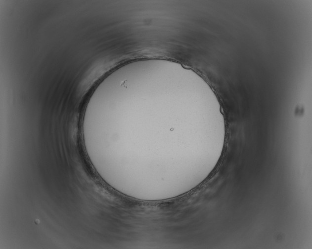 X0000089460194200707131956