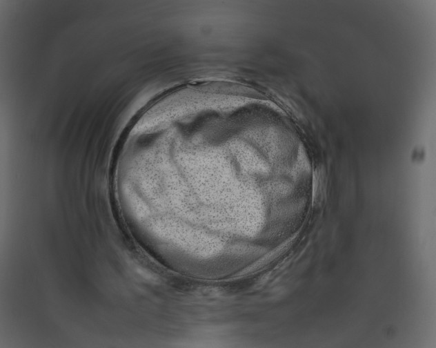 X0000089460195200707131956