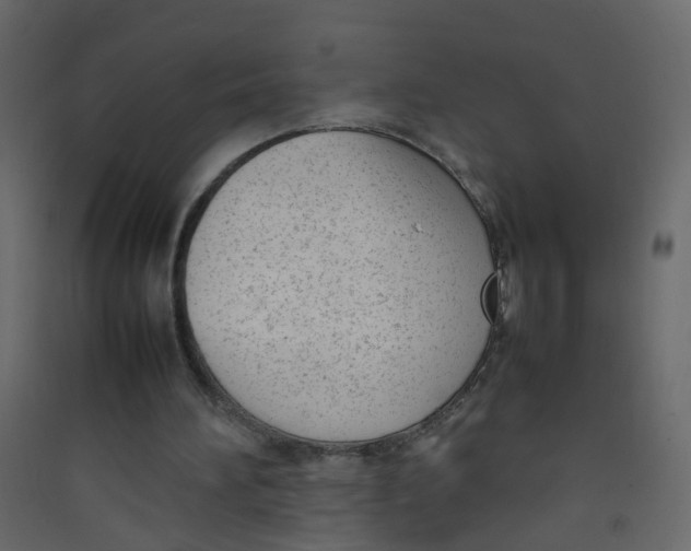 X0000089460196200707131956