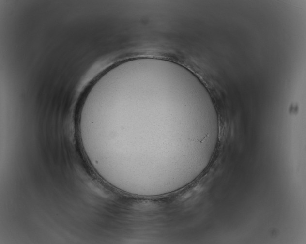 X0000089460198200707131956