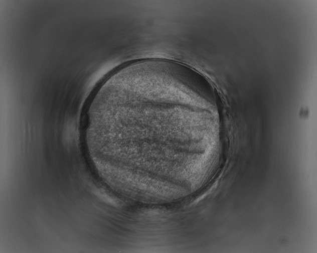 X0000089460200200707131956