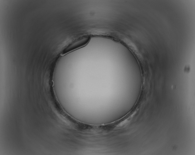 X0000089460201200707131956