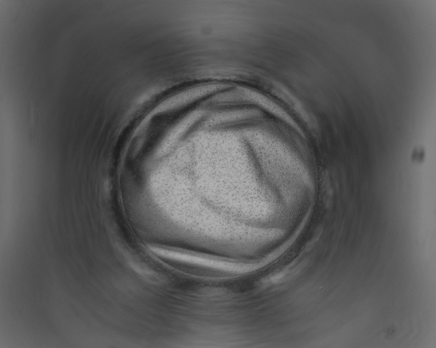 X0000089460203200707131956