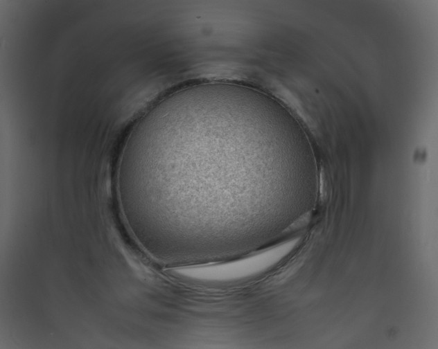 X0000089460205200707131956