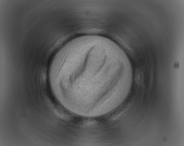 X0000089460206200707131956