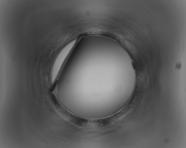 X0000089460209200707131956