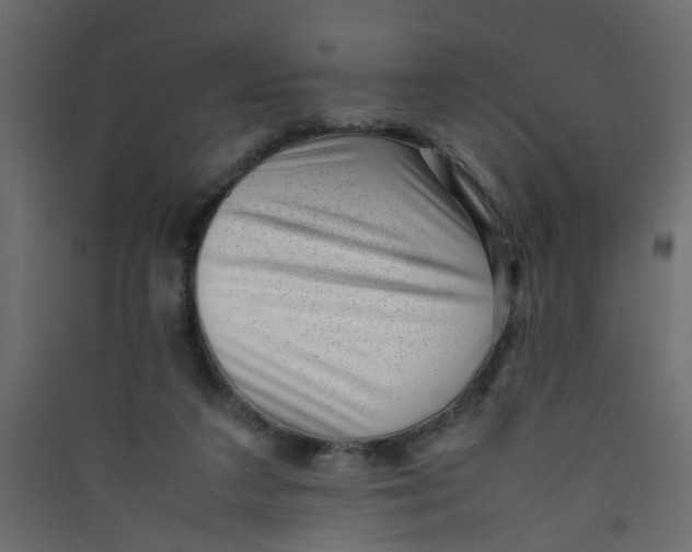 X0000089460211200707131956