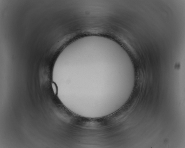 X0000089460212200707131956