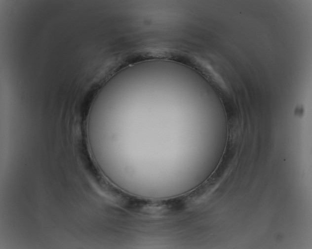 X0000089460213200707131956