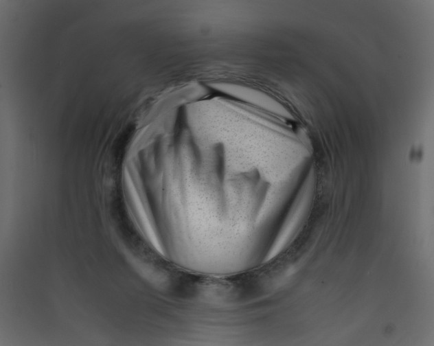 X0000089460215200707131955