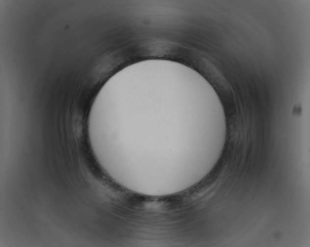 X0000089460216200707131955