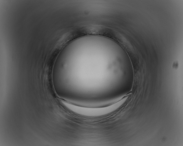 X0000089460217200707131955