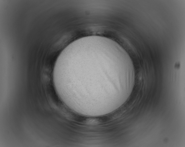 X0000089460218200707131955