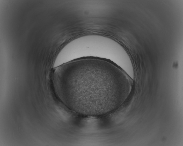 X0000089460219200707131955