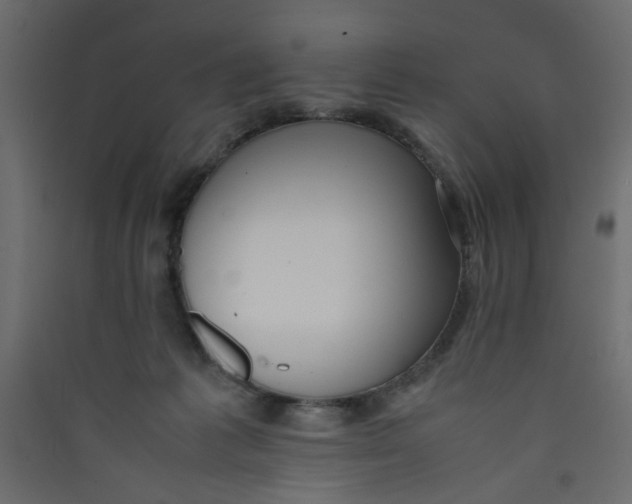 X0000089460221200707131955