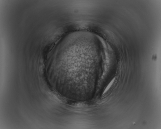 X0000089460223200707131955