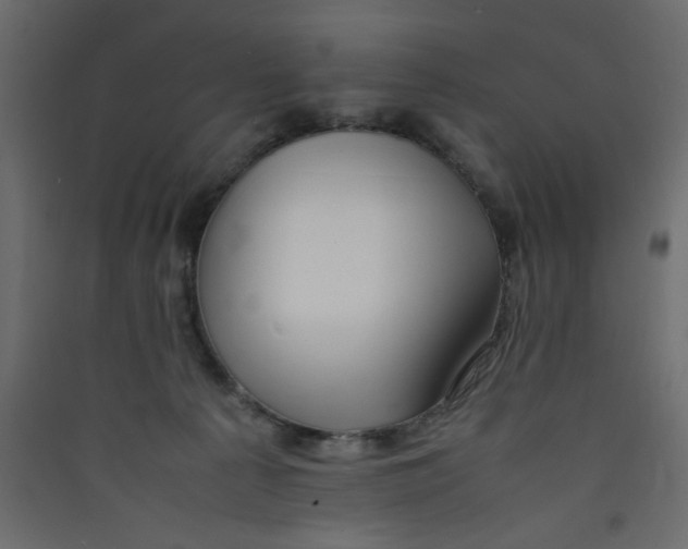 X0000089460225200707131955