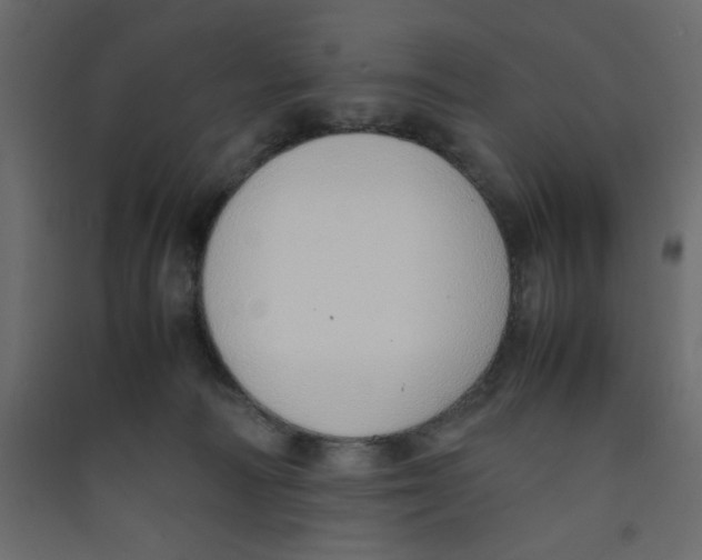 X0000089460226200707131955