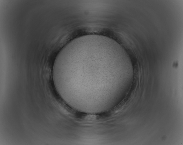 X0000089460227200707131955