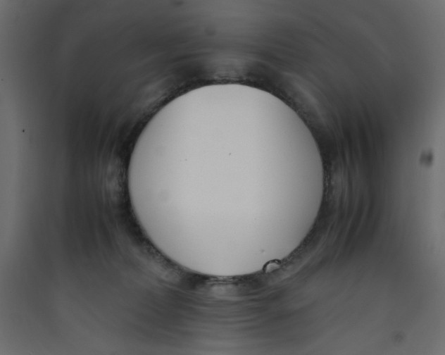 X0000089460228200707131955