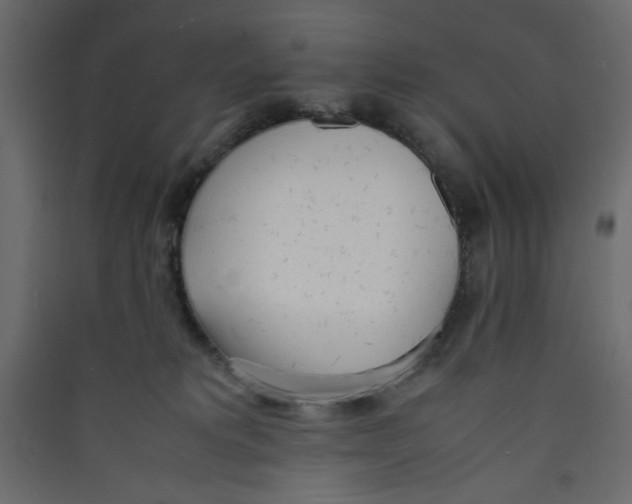 X0000089460229200707131955