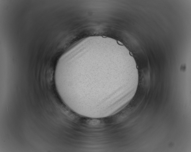 X0000089460230200707131955