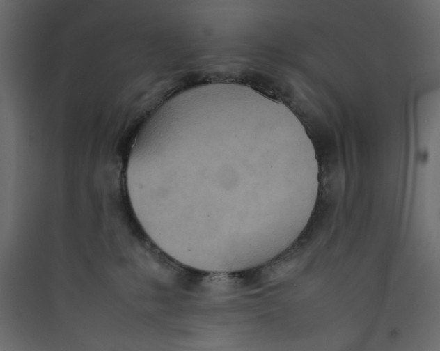 X0000089460231200707131955