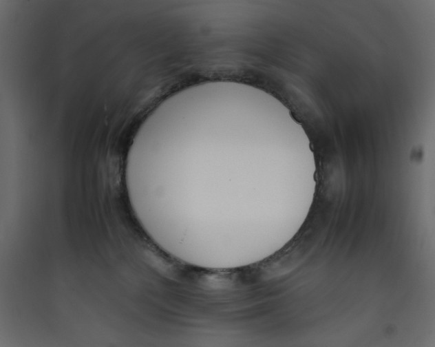 X0000089460232200707131955