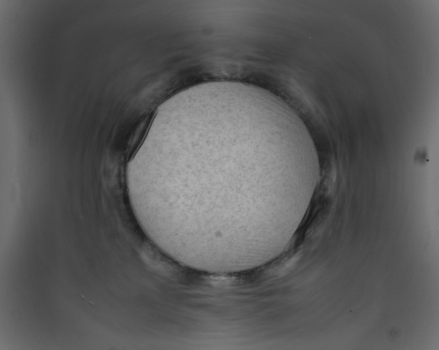 X0000089460233200707131955