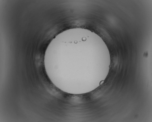 X0000089460236200707131955