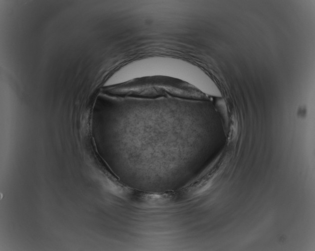 X0000089460239200707131955