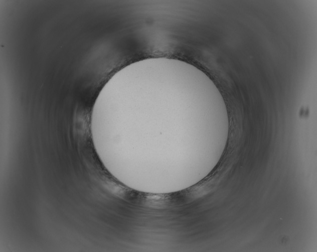 X0000089460240200707131955