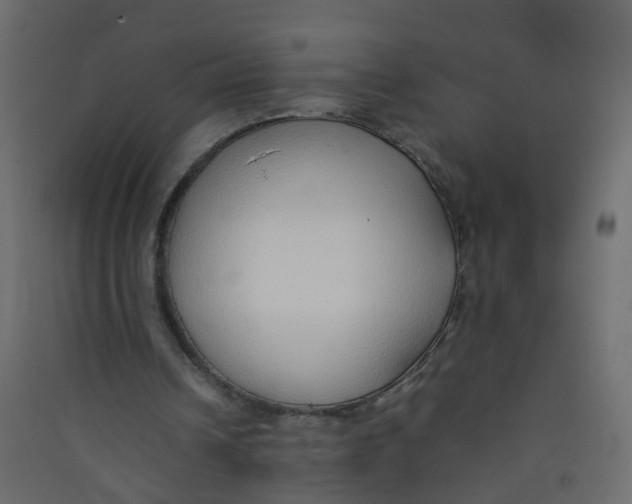 X0000089460242200707131955