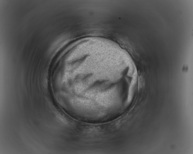 X0000089460243200707131955