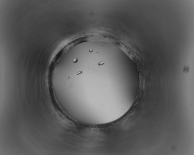 X0000089460244200707131955