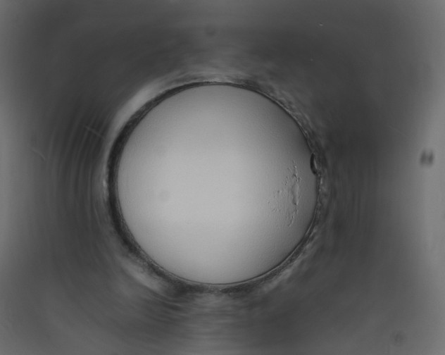 X0000089460246200707131955