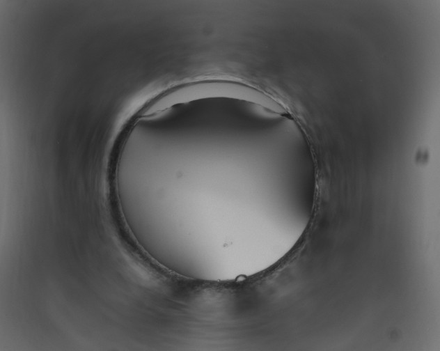 X0000089460248200707131955