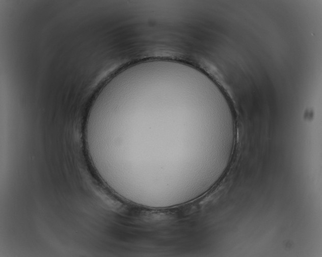 X0000089460249200707131955