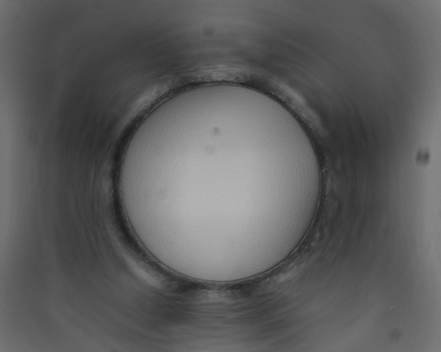 X0000089460250200707131955