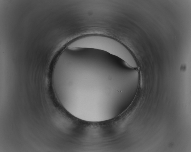 X0000089460252200707131955