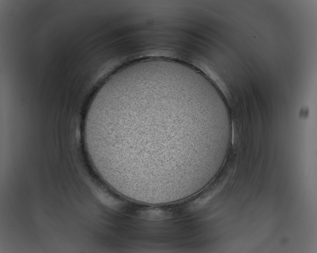 X0000089460253200707131955