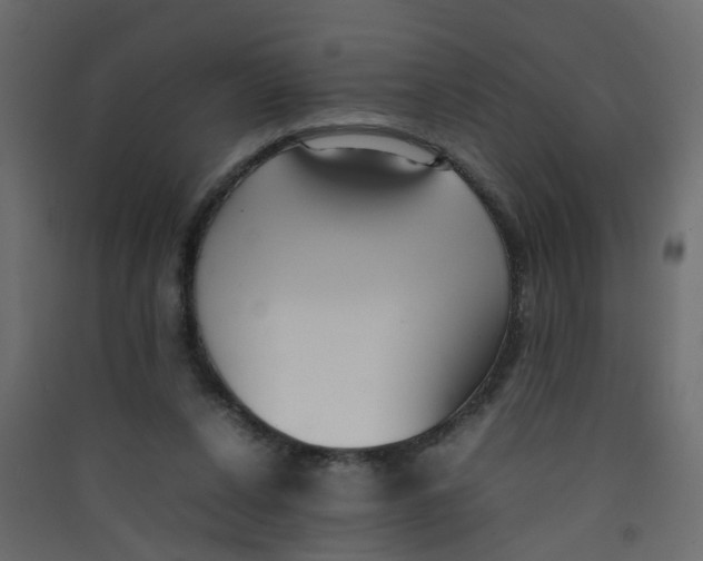 X0000089460256200707131955