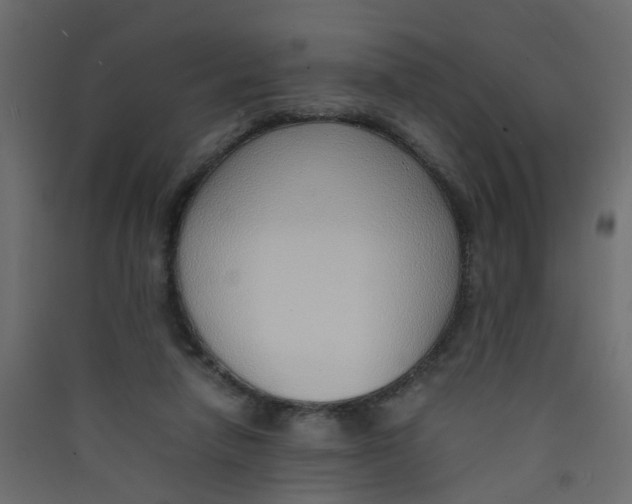 X0000089460258200707131955