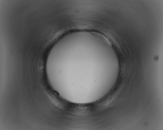 X0000089460260200707131955