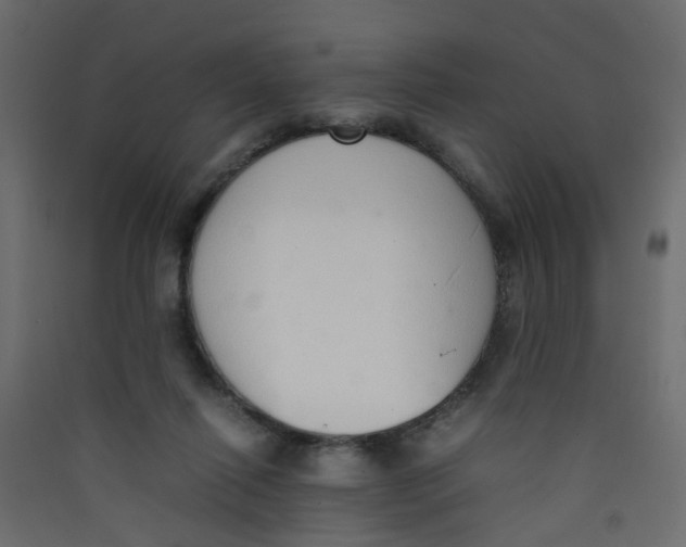 X0000089460262200707131955