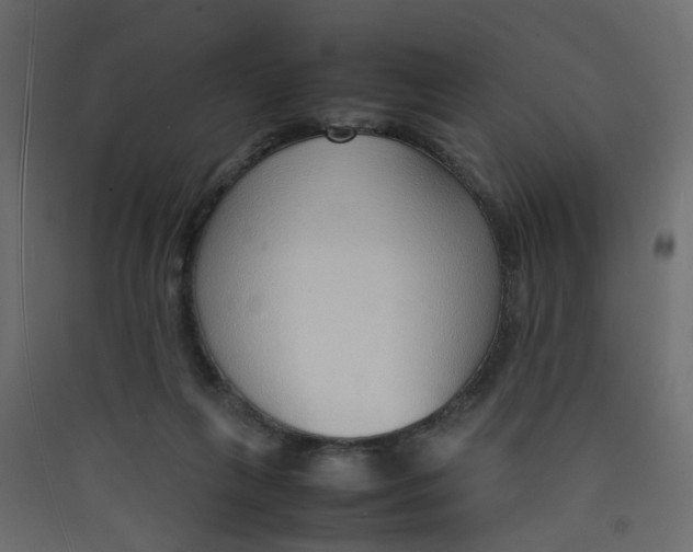 X0000089460263200707131955