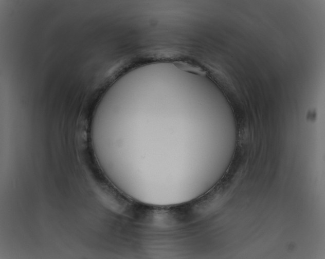 X0000089460264200707131955