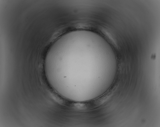 X0000089460265200707131955